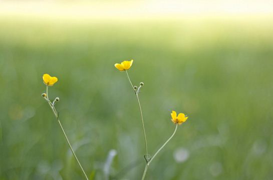 
                        10 câu nói khiến mỗi ngày của bạn đều trở nên ý nghĩa
                     6
