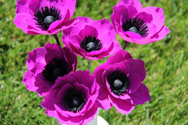 
                        Cách làm bó hoa poppy giấy tuyệt đẹp cho ngày 20 – 10
                     9