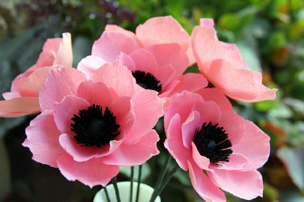 
                        Cách làm bó hoa poppy giấy tuyệt đẹp cho ngày 20 – 10
                     10