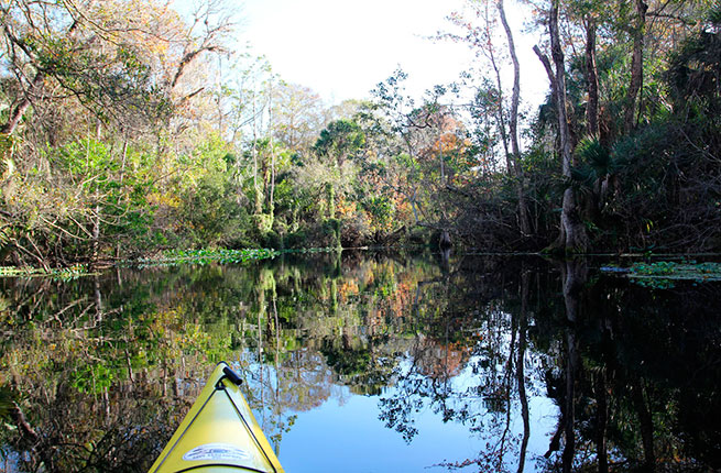 
                        6 hồ du lịch tự nhiên lý tưởng ở Florida
                     0