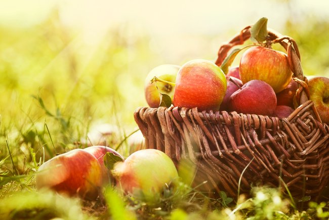 
                        5 lợi ích tuyệt vời từ táo có thể bạn chưa biết
                     0