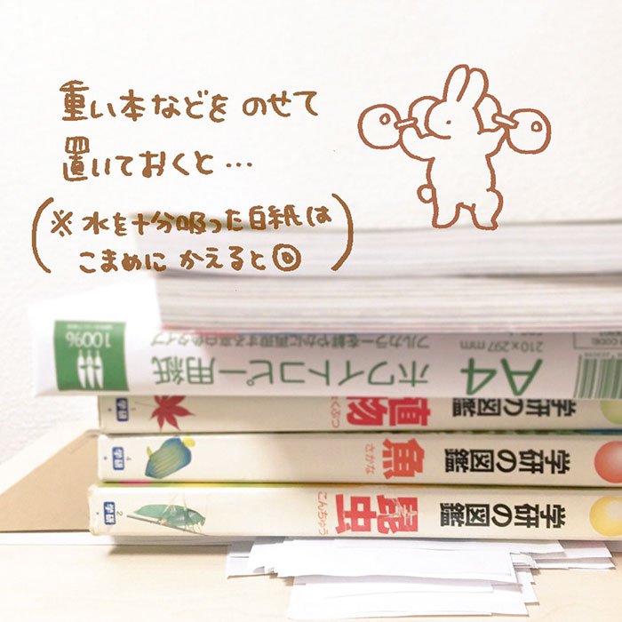 
                        Giải cứu những trang sách ướt sũng bằng mẹo "cực kỳ đơn giản" đến từ Nhật Bản
                     2