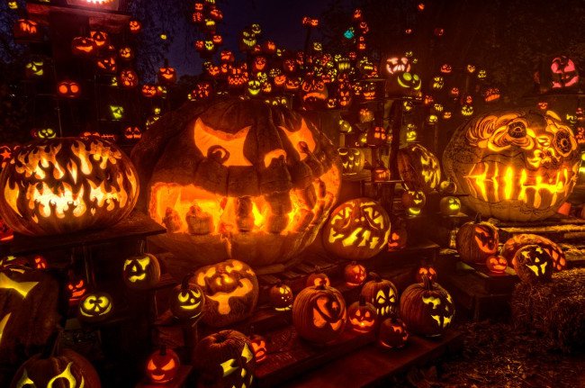 
                        18 sự thật thú vị về Halloween khiến bạn kinh ngạc
                     1