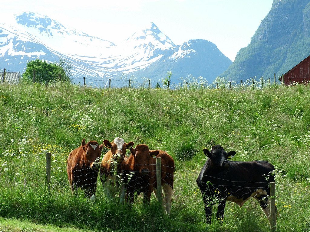 
                        30 cảnh đẹp thiên nhiên khiến bạn phải đến Na Uy một lần trong đời
                     10