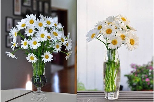 
                        Cắm hoa cúc mang sung túc vào nhà cho ngày Tết 2017
                     2