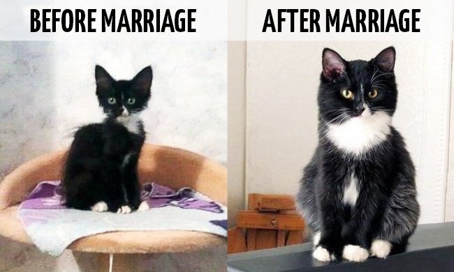 
                        9 bức ảnh cho thấy cuộc sống thay đổi "chóng mặt" sau khi kết hôn
                     0