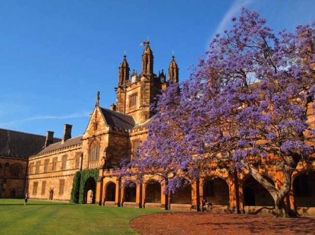 
                        Ngắm nhìn 15 ngôi trường đại học đẹp nhất thế giới
                     19