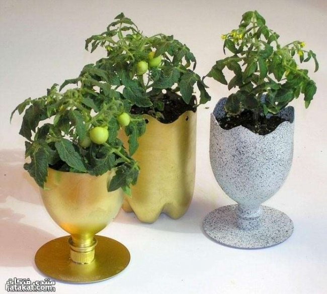 
                        10 ý tưởng sáng tạo làm chậu hoa từ chai nhựa cũ
                     4