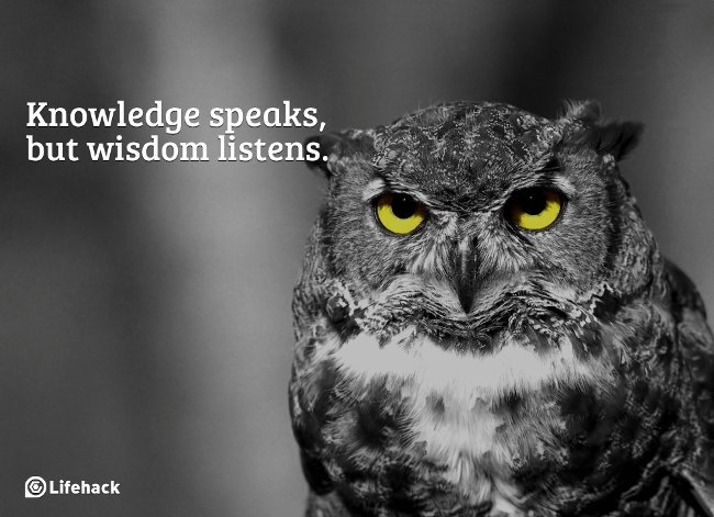 
                        Hiểu biết, khôn ngoan và sáng suốt khác nhau như thế nào?
                     0