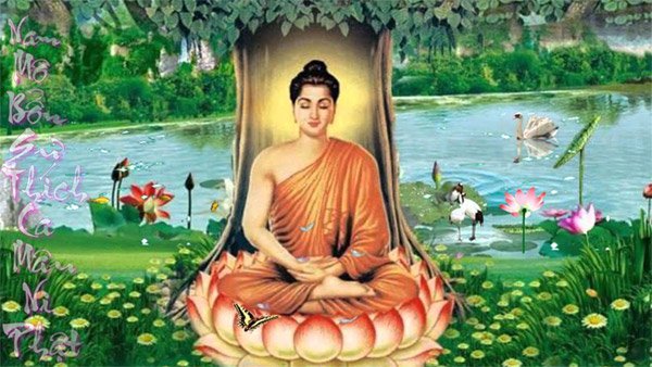 
                        Phật dạy 66 câu thiền ngữ giúp cuộc sống an nhiên, vui vẻ
                    
