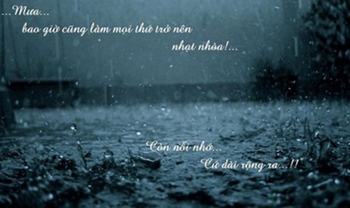 Status buồn về mưa hay ý nghĩa cảm động nhất 2