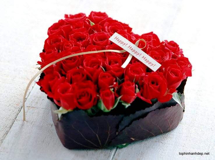 Hình ảnh hoa hồng ngày valentine tặng người yêu 14-2 10