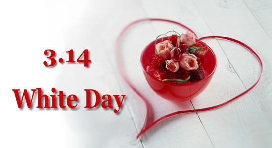 Những câu tỏ tình ngày 14-3 hay và ý nghĩa ngày valentine trắng 0