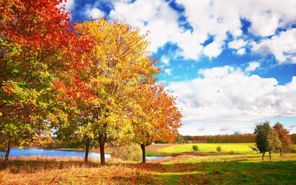 Những hình ảnh thiên nhiên đẹp mê hồn khi mùa thu đến 7