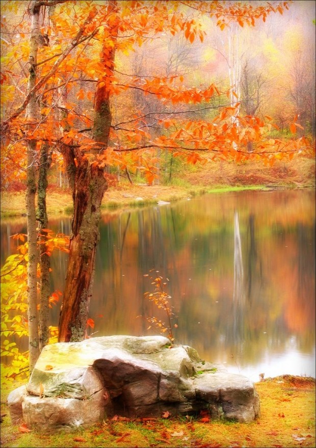 Những hình ảnh thiên nhiên đẹp mê hồn khi mùa thu đến 9