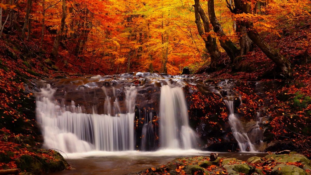 Những hình ảnh thiên nhiên đẹp mê hồn khi mùa thu đến 10