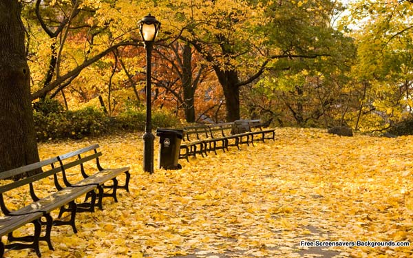 Những hình ảnh thiên nhiên đẹp mê hồn khi mùa thu đến 12