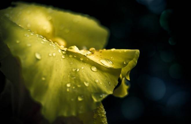 Tuyển tập những hình ảnh về mưa đẹp lung linh và ấn tượng nhất 6