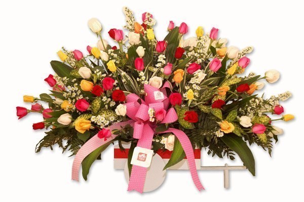 Những lẵng hoa đẹp gửi đến thầy cô nhân ngày 20 – 11 1