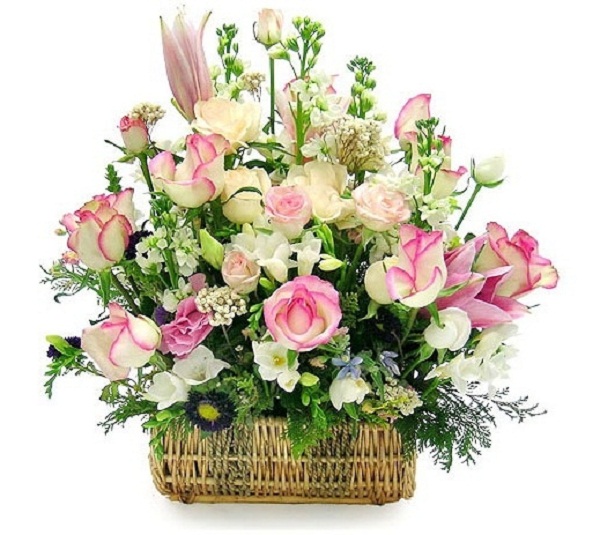 Hoa đẹp tặng ngày 20/11 dành cho thầy cô giáo đầy ý nghĩa 4
