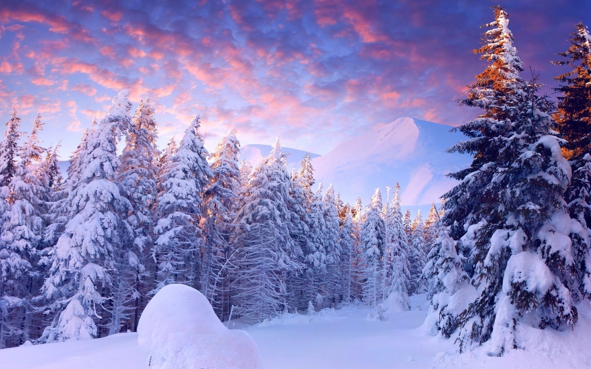 Hình ảnh tuyết rơi mùa đông đẹp nhất thế giới năm 2015 7