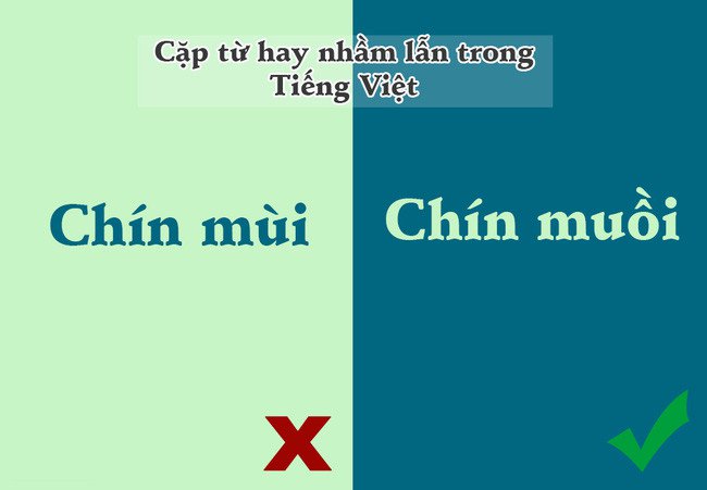 
                        10 cặp từ trong tiếng Việt dễ khiến chúng ta nhầm lẫn nhất
                     3