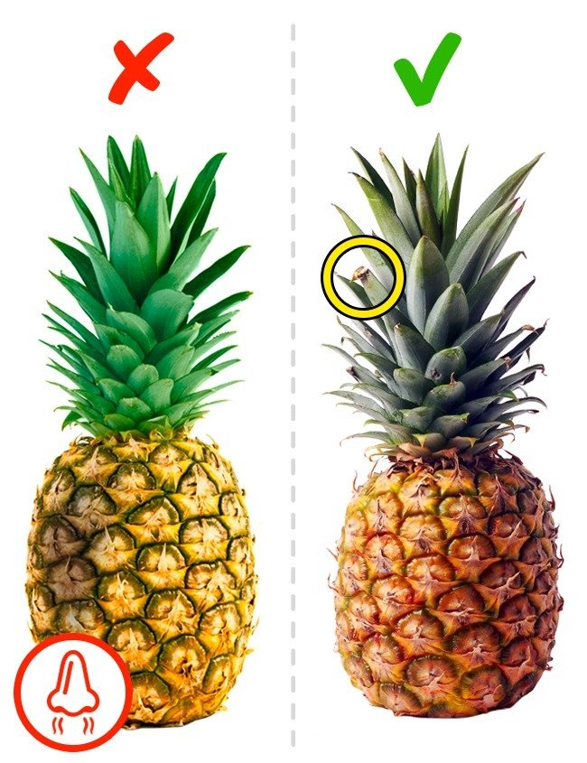 
                        Những loại trái cây sẽ bị chọn sai nếu dựa vào màu sắc
                     2