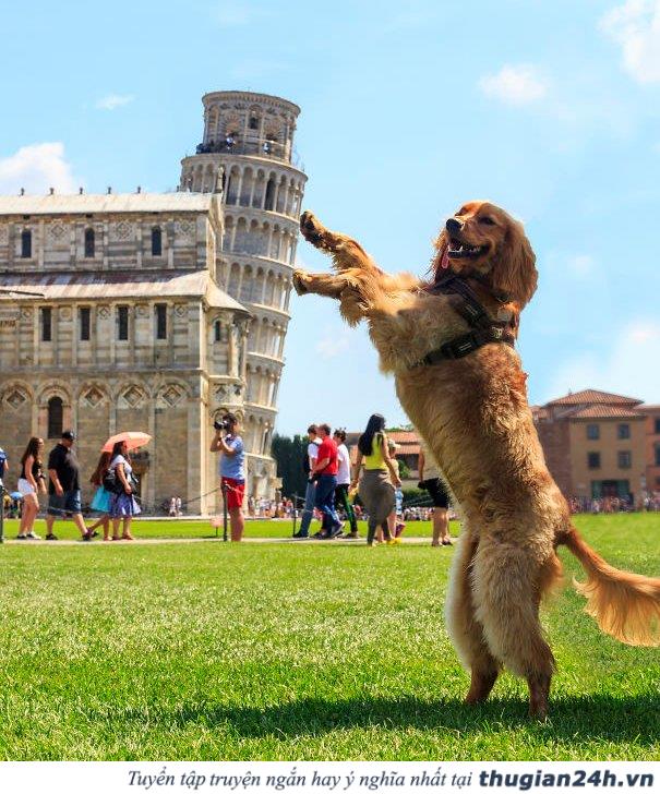 20+ kiểu chụp ảnh sống ảo chất lừ với tháp nghiêng Pisa 2