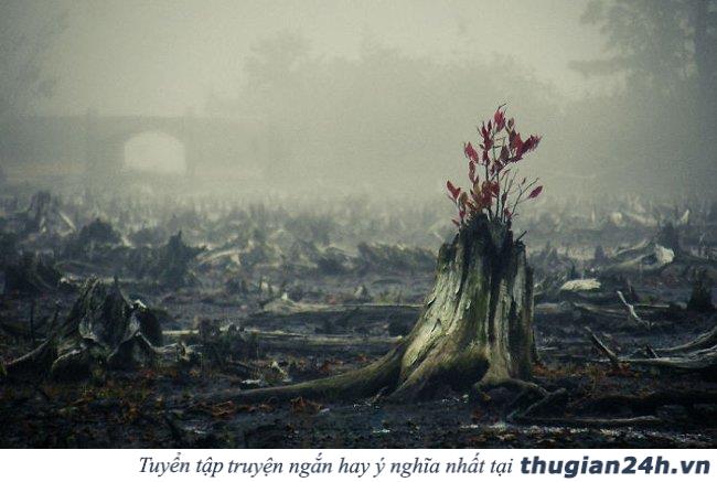 20+ hình ảnh minh chứng hùng hồn về sức sống mãnh liệt của cây cối 12