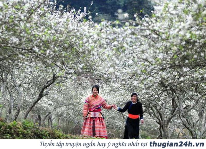 Những mùa hoa đẹp nhất, hấp dẫn nhất ở Việt Nam nên check in một lần trong đời 2