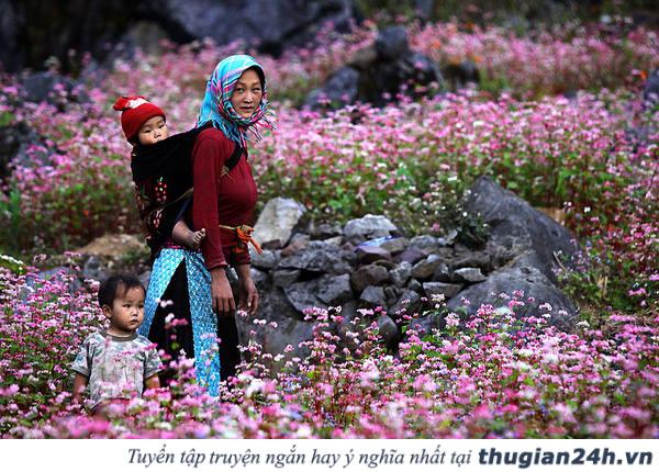 Những mùa hoa đẹp nhất, hấp dẫn nhất ở Việt Nam nên check in một lần trong đời 10
