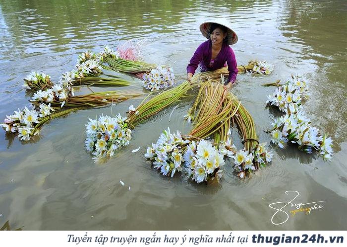 Những mùa hoa đẹp nhất, hấp dẫn nhất ở Việt Nam nên check in một lần trong đời 24